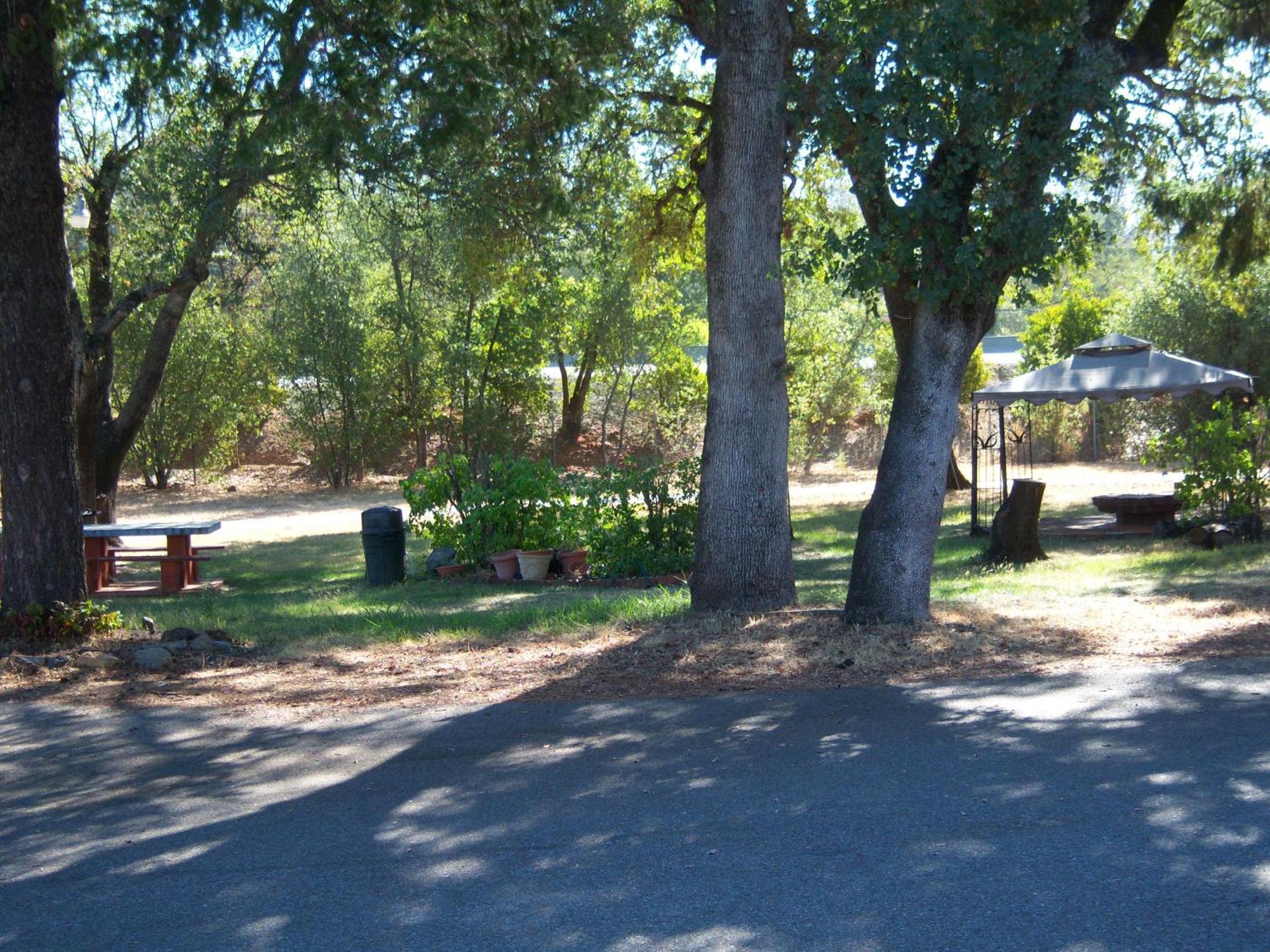 Shasta Dam Motel Шаста-Лейк Экстерьер фото